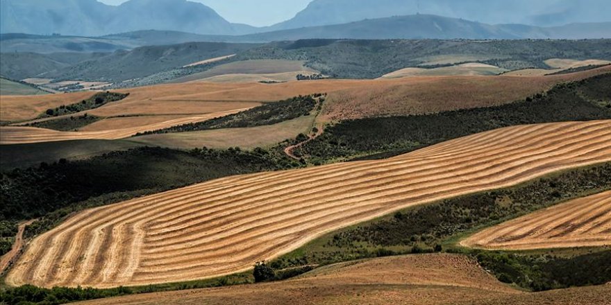 Tarım arazileri ve 2B taşınmazlarının satış başvuruları için son 5 gün