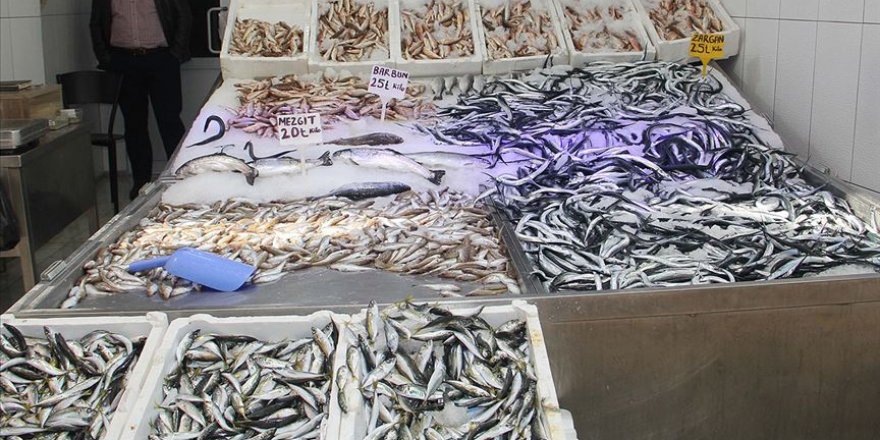 Tezgahlarda hamsi ve palamudun yerini dip balıkları ile istavrit aldı