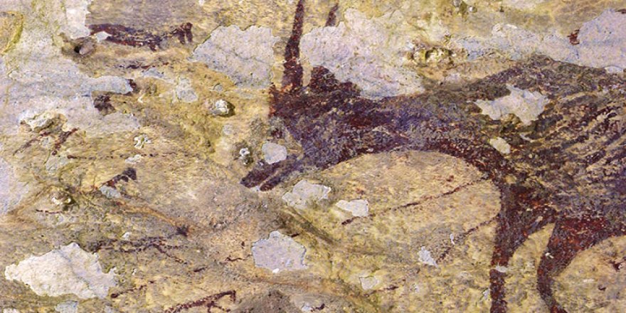 Araştırmacıları heyecanlandıran keşif