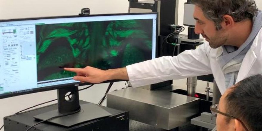 'Yapay zeka, doktorların verimliliğini artıracak'