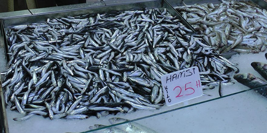 Karadeniz'de hamsi fiyatı tavan yaptı