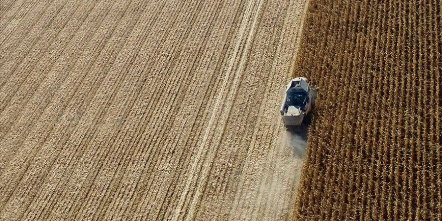 Topraksız çiftçiye Hazine arazisi desteği