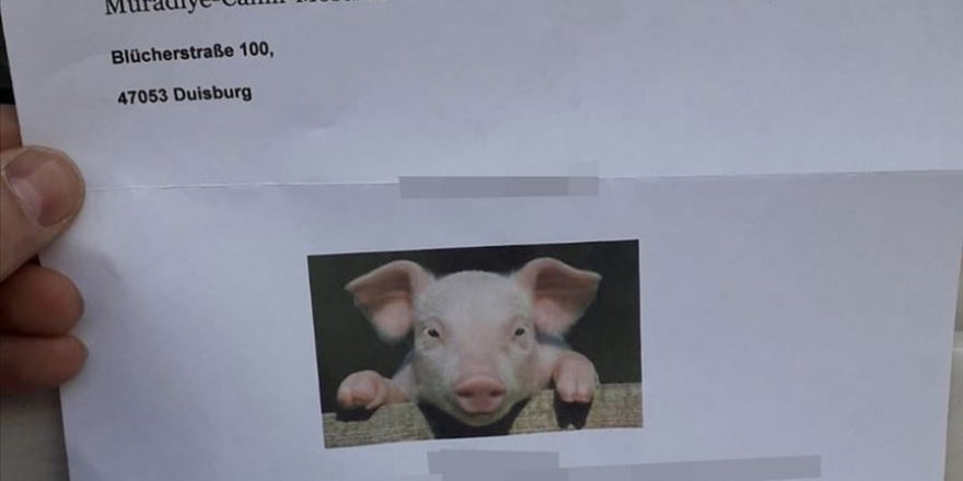 Almanya'da camiye domuz fotoğraflı hakaret mektubu gönderildi