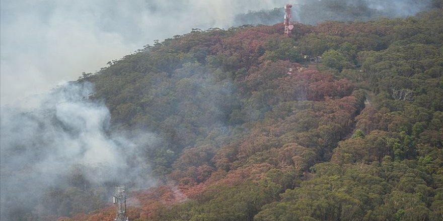 Avustralya'daki yangınlarda yaklaşık 5 milyon hektarlık alan kül oldu