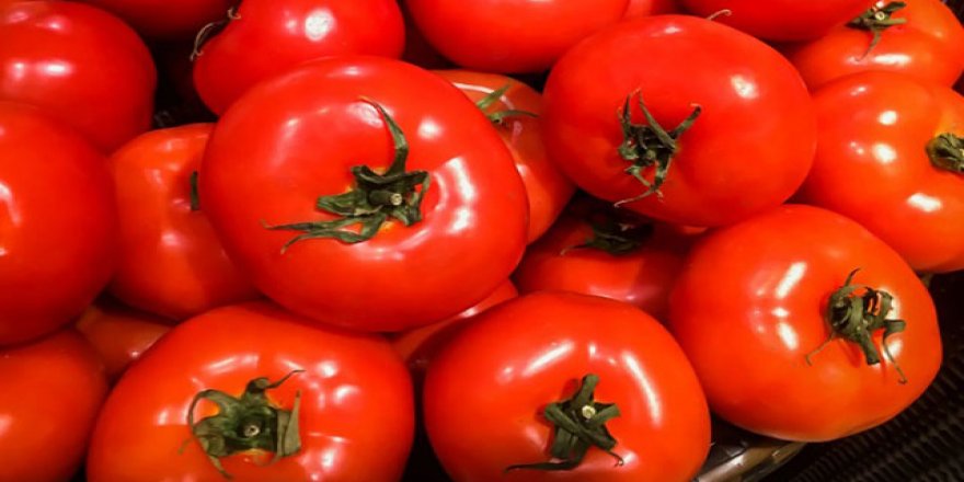 Uzayda bile yetiştirilebilecek salkım salkım domates
