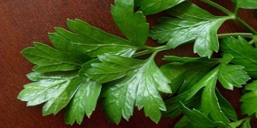 Kolesterolü bitiren şifa deposu besin!