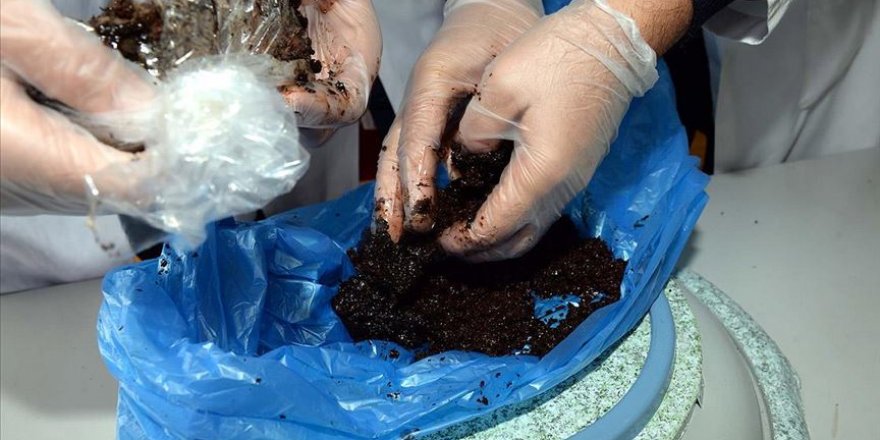 Atık çaydan sunta ürettiler