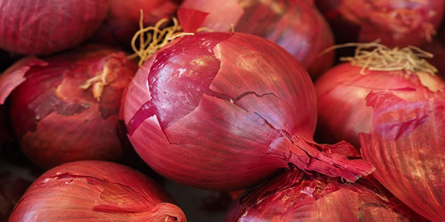 Türk soğanı Hindistan mutafağında