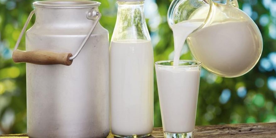 Çiğ süt ve tiftik üretimi destek ödemeleri bugün yapılacak