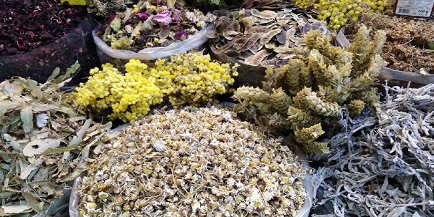 Mevsimsel hastalıkların ilacı ‘zencefil'