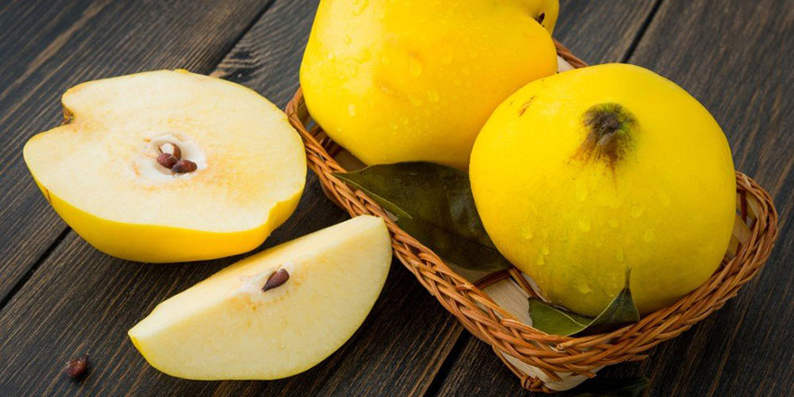 Evliya Çelebi'nin övgüyle söz ettiği 'Osmaneli ayvası'nda hasat başladı