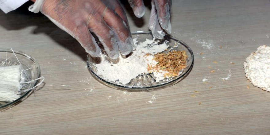 Çeltik kabuğundan yalıtım malzemesi üretildi