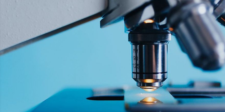 2019'un fark oluşturan 10 bilimsel buluşu