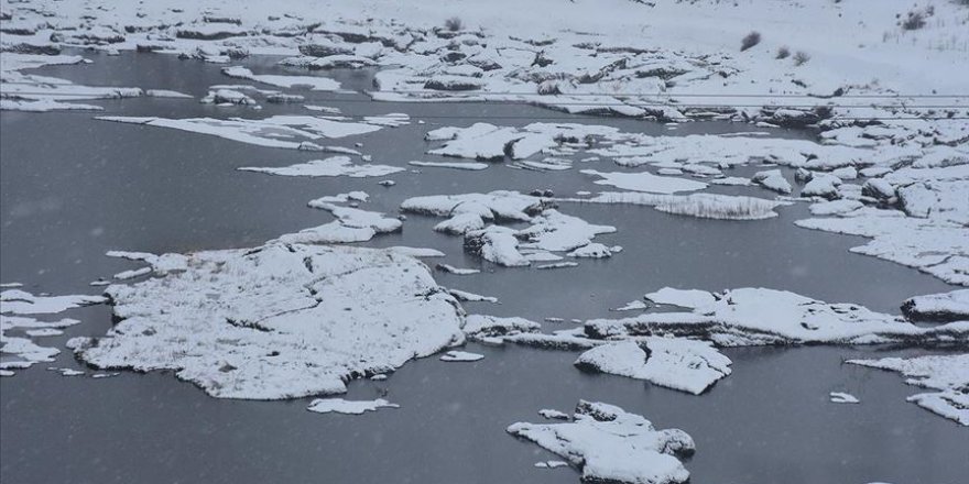 Çat Barajı'ndaki 'yüzen adalar' dondu