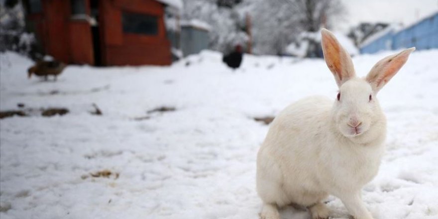 Meteorolojiden yağmur ve kar uyarısı
