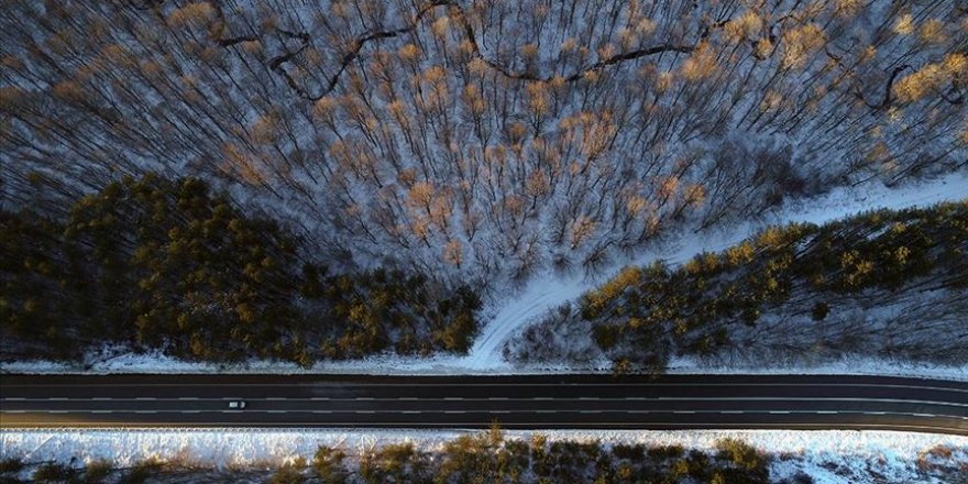 Istranca ormanlarında kış güzelliği