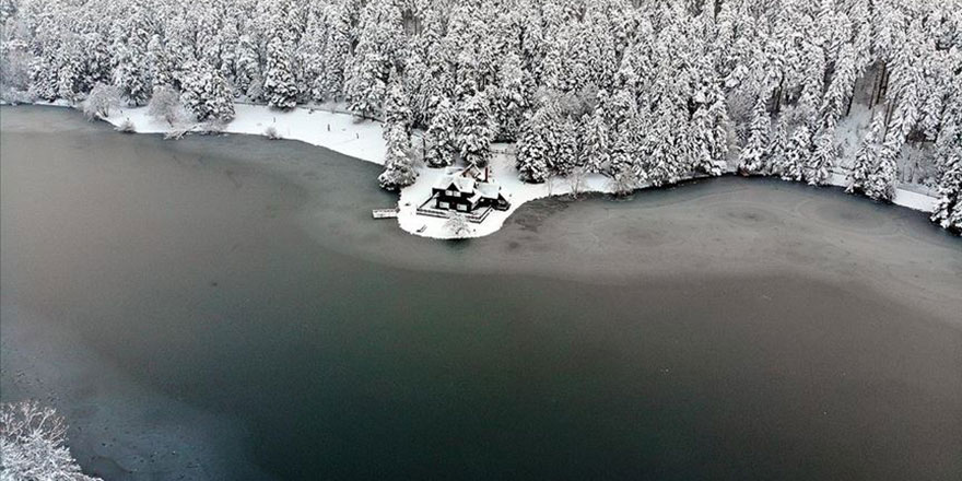 Gölcük Tabiat Parkı'ndaki göl buz tuttu