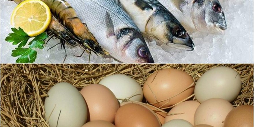 Tavuk yumurtası ve balıkta KDV indirimi
