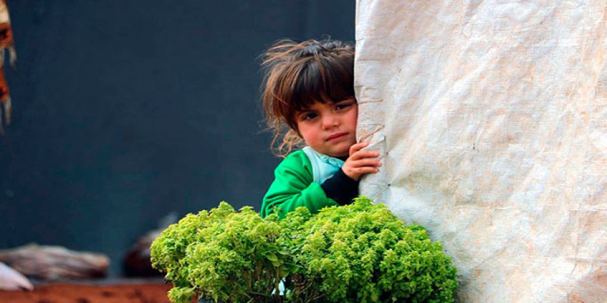 Suriye'deki savaş en çok çocukları etkiliyor