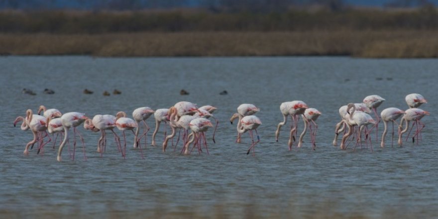 Venedik'ten Bursa'ya