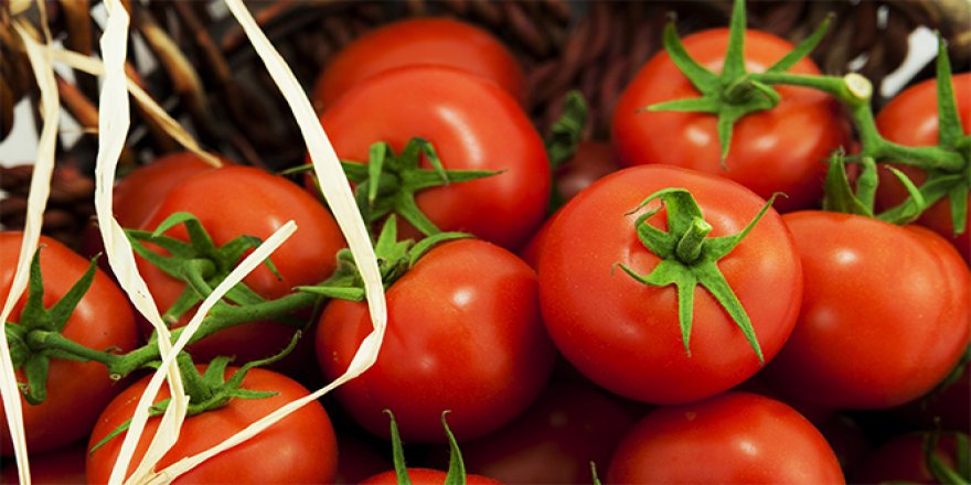 Domateste kotayı kaldırmak için iki bakanlık çalışıyor