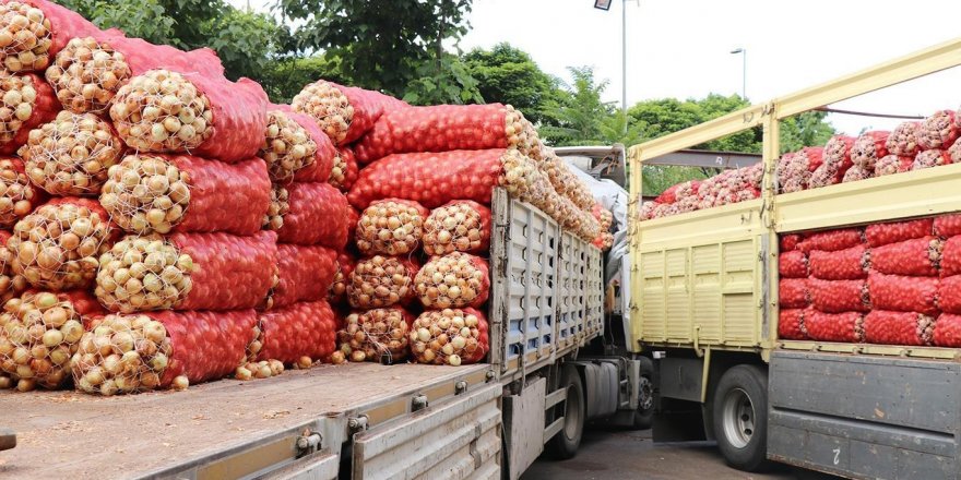 Soğan ve patatesin ihracatı izne tabi olacak