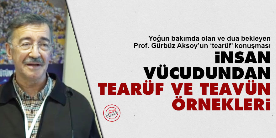 İnsan Vücudundan Tearüf ve Teavün Örnekleri