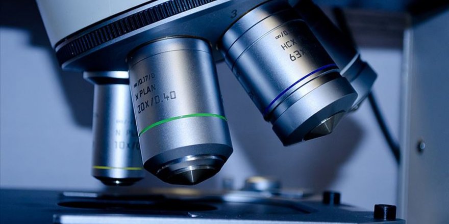 Kapsül robotlar biyopsi yapacak