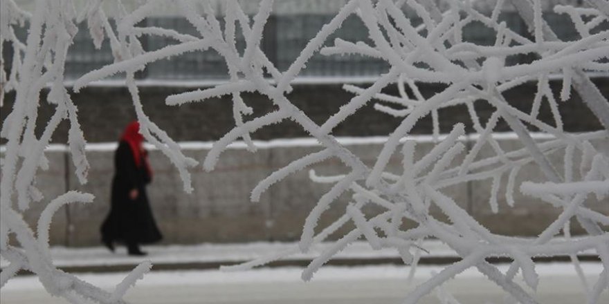 Doğu Anadolu'da 'dondurucu soğuklar' etkisini sürdürüyor
