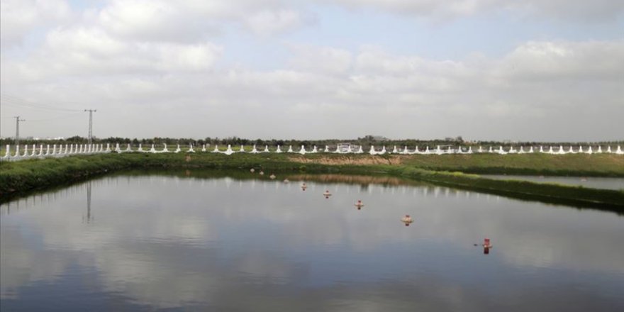 İsrail bir haftada ikinci kez Gazze'deki tarım arazilerini sular altında bıraktı