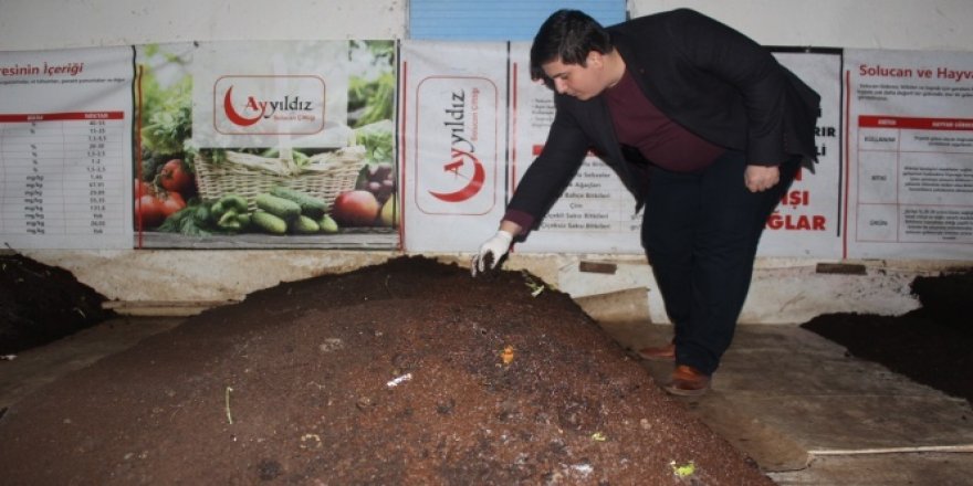 Her gün yarım saatini ayırarak yılda 120 bin TL kazanıyor