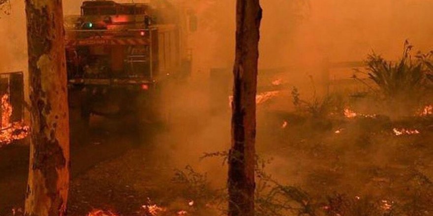 Avustralya Başbakanı'ndan yangın itirafı: Hata yaptık