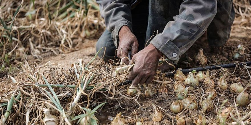 İsrail, baraj kapaklarını açarak Gazze'de yarım milyon dolarlık hasara neden oldu