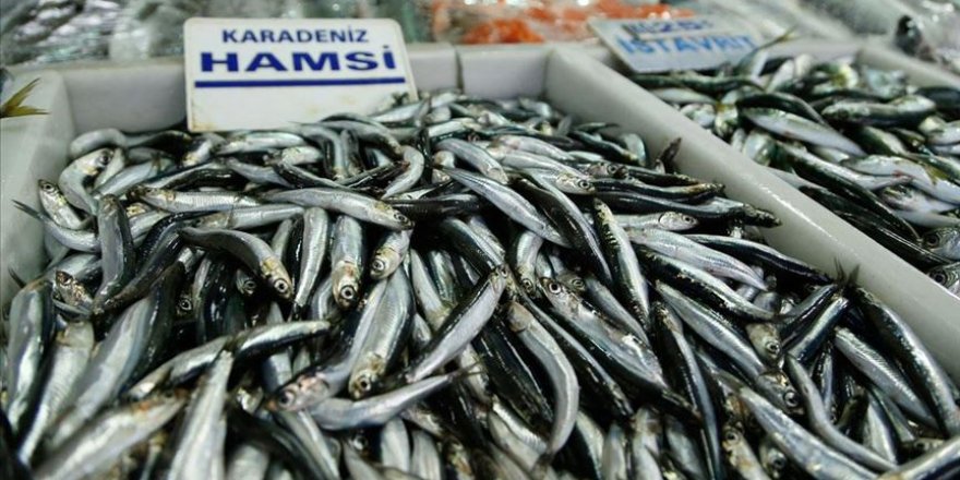 Balıkçılar yeni yılda hamsi sevinci yaşıyor