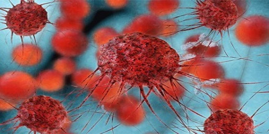 O ürünlerde kanserojen madde bulundu