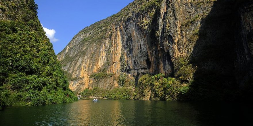 Çin'in Yangzı Nehri'ndeki balık popülasyonu yok olma tehlikesiyle karşı karşıya