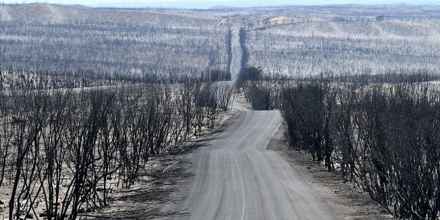 Avustralya yangınları 'yeni normal' olabilir