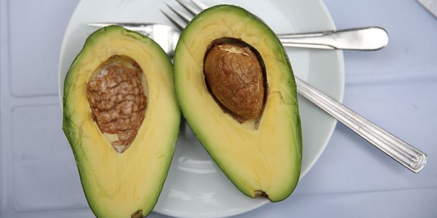 Denemek için ektikleri avokadoya talep artıyor