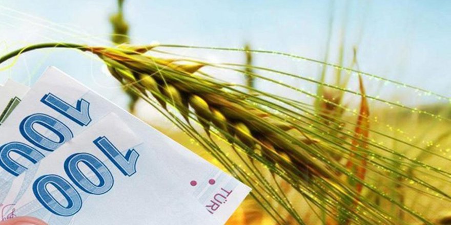 Yetiştiricilere 85 milyon liralık destek ödenecek