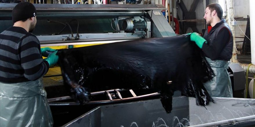 Türkiye'de ham deri ihtiyacı sürse de ihracatın büyümesi bekleniyor