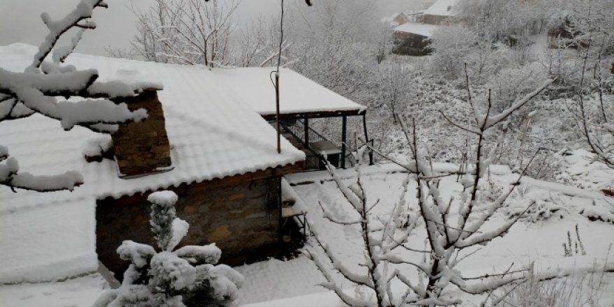 Çalıkuşu beyaza büründü