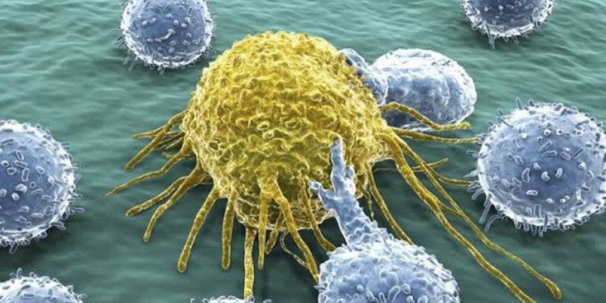 Bilim adamları tüm kanser türlerine şifa olan bir keşfe imza attı