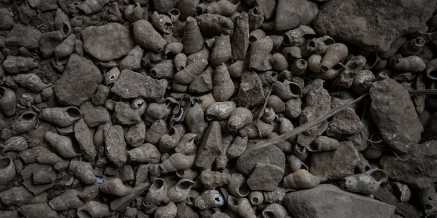 Malezya'da 17 bin yıllık taş eşyalar bulundu