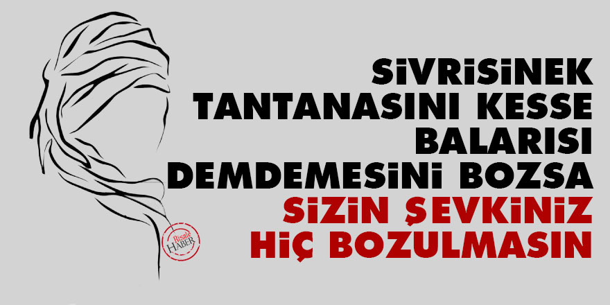 Sivrisinek tantanasını kesse, balarısı demdemesini bozsa, şevkiniz hiç bozulmasın