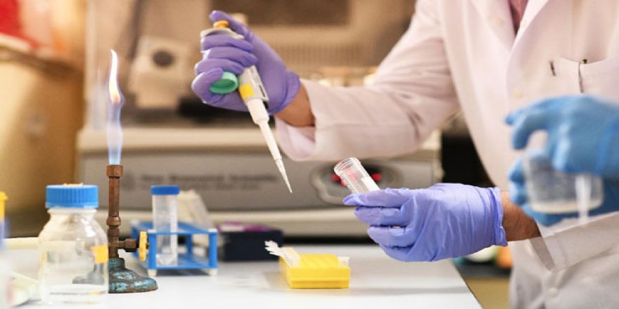 ‘Gizemli virüs’ yeni bir salgının habercisi olabilir'