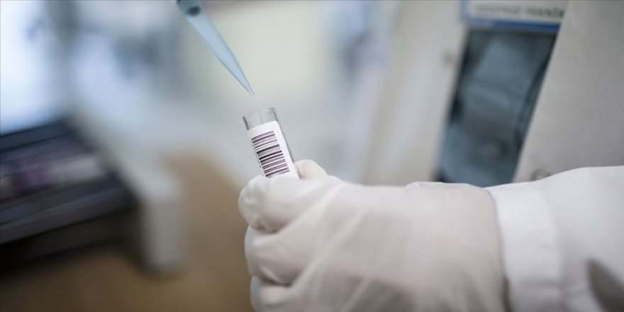 Uyuz nedir ve nasıl tedavi edilir?