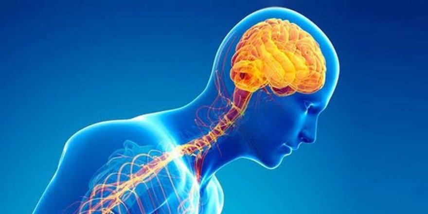 Parkinsonda semptomlar hastalık ilerledikçe kötüleşiyor