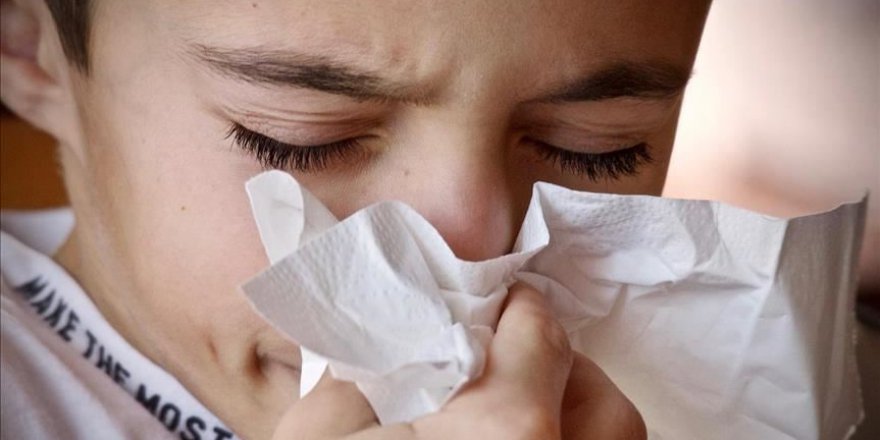 Domuz gribi mevsimsel griple aynı belirtileri gösterebilir