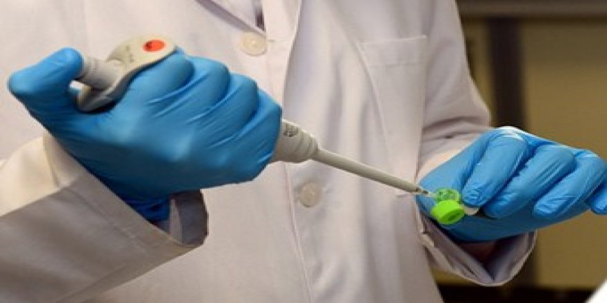 Güney Kore'de ikinci 'yeni tip koronavirüs' vakası görüldü