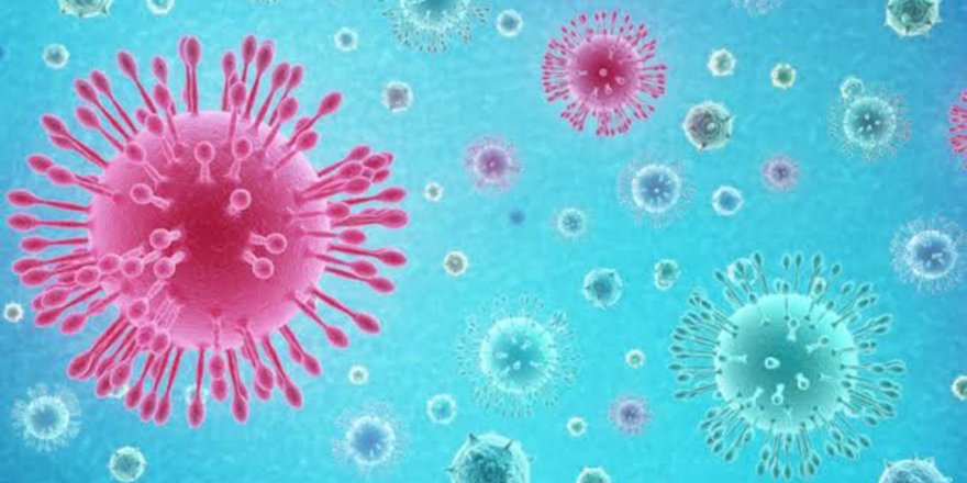 Finlandiya'da ilk koronavirüs vakası görüldü